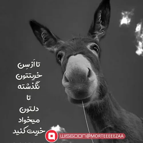 تا از سن خریتتون نگذشته تا دلتون میخاد خریت کنید😂😂😂