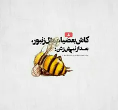 کاش بعضیا مث زنبور بعد نیش زدن میمردن..!😏