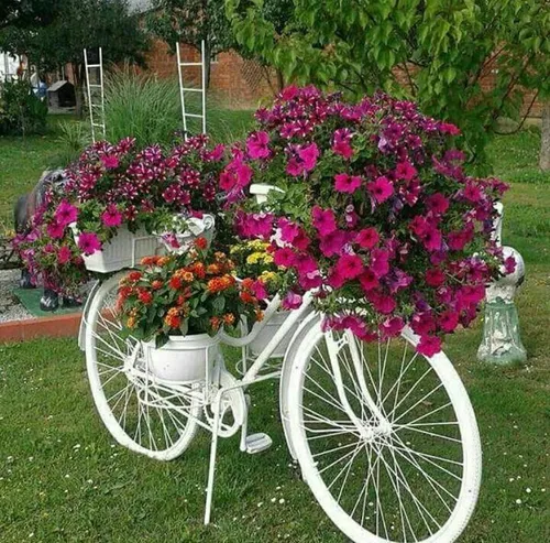 برای طولانی زیستن