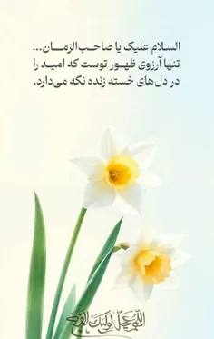 🟢 دوستداران امام زمان محبوب خداوند هستند