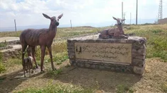 الِمان زیبا در ورودی روستای سهرین-زنجان