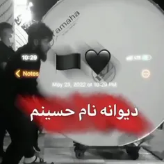 دیـوانهـ نامـِ حُسِیـنَمـ ‌⛓️💊