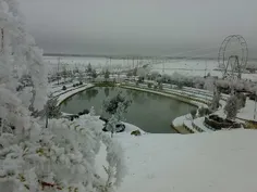 دوستان شب همگی خوش