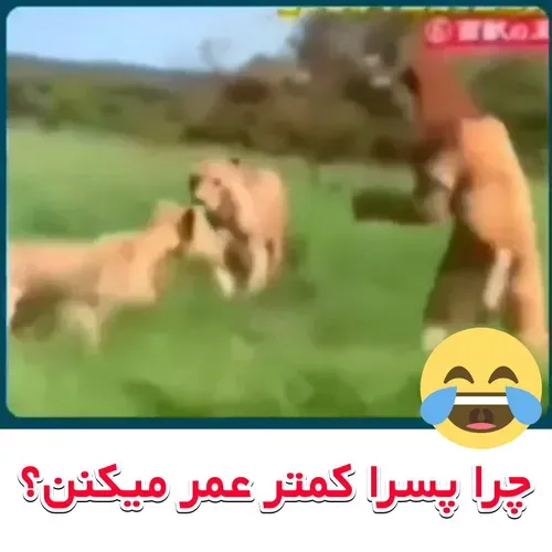 چرا پسرا کمتر عمر میکنن 😂