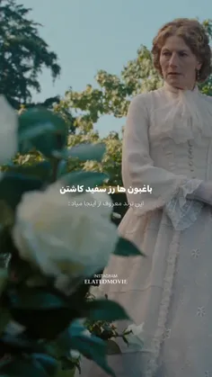 آلیس در سرزمین عجایب