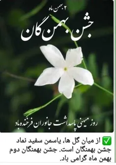 #جشن ایرانی