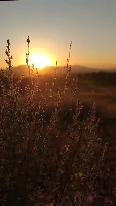 مرا چشمی‌ست خون‌افشان، ز دست آن کمان‌ابرو