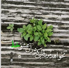 می گویند:
