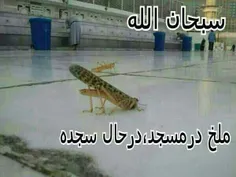 سبحان الله