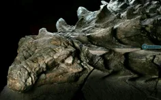 فسیل 110 میلیون ساله که از یک دایناسور کشف شده است.