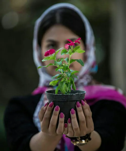 تو را دارم ای گل، جهان با من است