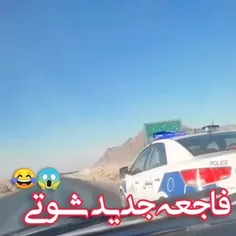 فالو = فالو 