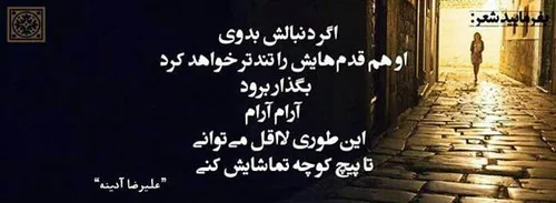 مینی شعر