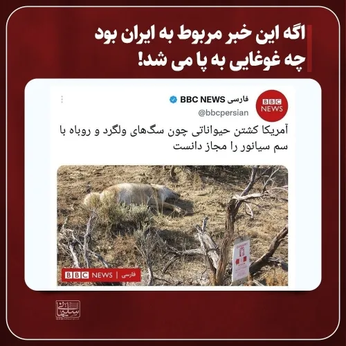 بی بی سی BBC منوتو آمریکا ایران ایرانی غوغا آشوب سگ حیوان
