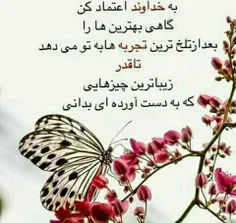 گوناگون marjan136 25524840