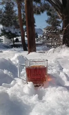 خوف‌محشر‌ازکسی‌باشدکه‌اوبی‌صاحب‌است. . 