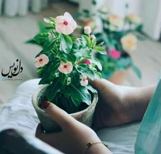 ما برای با تو بودن