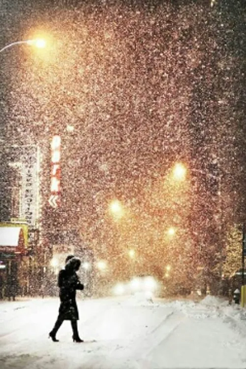 زیبایی شب