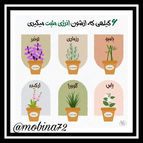 به زندگی فکر کن ولی برای زندگی غصه نخور... 🌻🌱