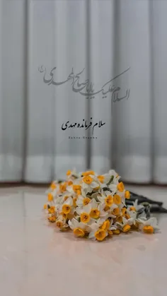 السلام علیک یا اباصالح المهدی ادر کنی