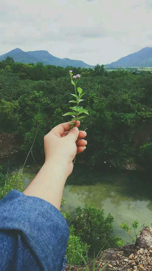 مدرسه مجازی⌝💚📗-