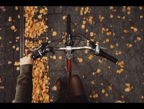 دوچرخه سواری تو پاییز عالیه