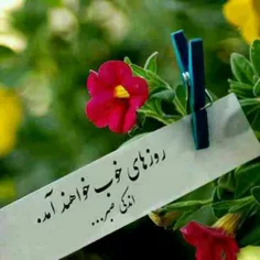 #روز_خوب#نه_به_روحانی