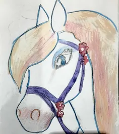 نقاشی اسب مجستی 