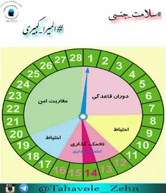 نمودار قاعدگی و بارداری