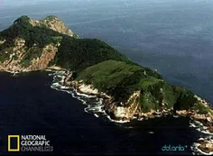 #خطرناک_ترین #جزیره دنیا ملقب به جزیره مار در کشور #برزیل