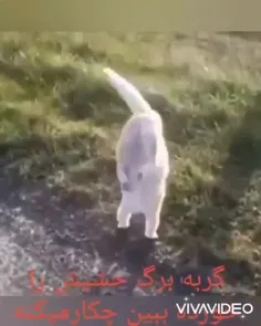 از دست این شیطون🤣😂😊