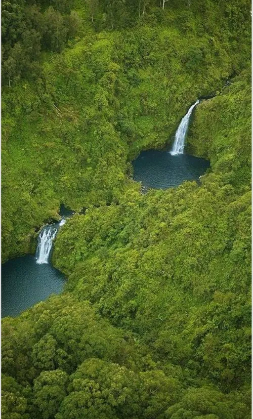 آبشار هاوایی سبز ترین منطقه دنیا
