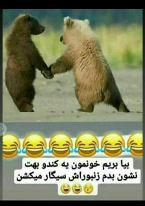 استوری