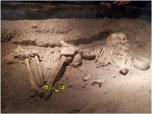 منحصر بفردترین اسکلت باستانی ایران؛