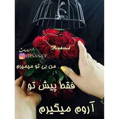 #عکس-عاشقانه-نوشته