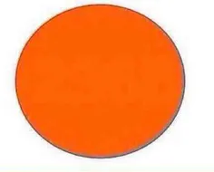 ب نظرتون چندتا عدد تو این دایره میبینید؟؟؟من خودم ک ندیدم