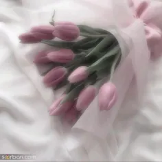 ولی پارک بوگوم تو این فیلم ترکوند😎