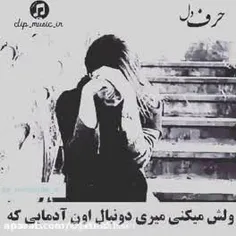 خاک یا الماس