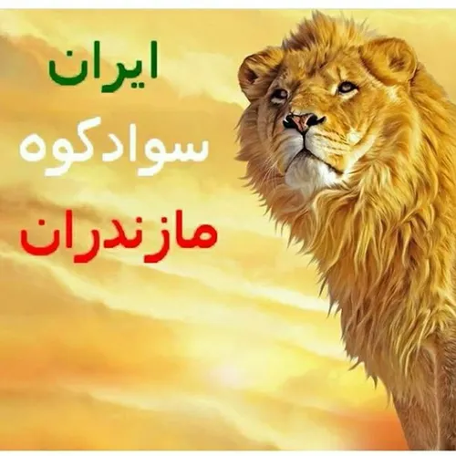 در شهر yasnoori 15684804 - عکس ویسگون