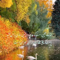 🌷تولد واژه ای است در پی معنا شدن 🌱