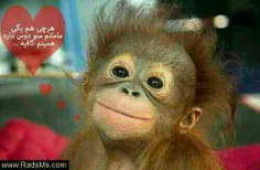 اااااااااای جااااااااااااان
