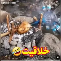 وقتی با یه مهندس تنبل بری پیک نیک😂😂😂