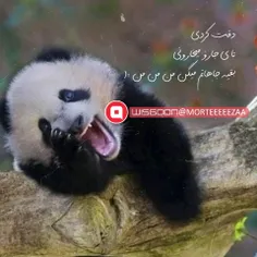 دقت کردی تا یجایی رو میخارونی