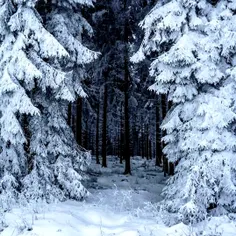 عشق، گرمای دستانی‌ست،