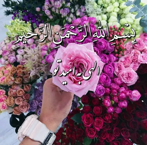 🌸 بِسْمِ اللّهِ الرَّحْمَنِ الرَّحیمِ🌸