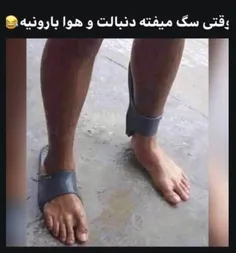 فکرشو بکن🤣🤣🤣