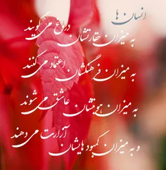 بای 