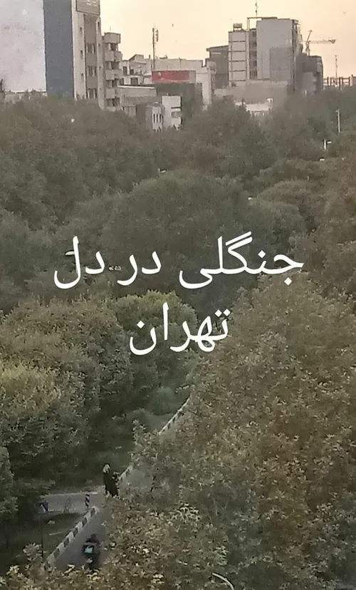 جنگلی در دل تهران