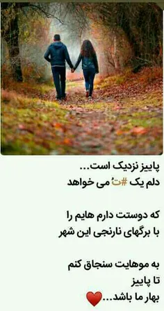 #عاشقانه ها #عکس_نوشته