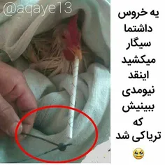 ببین بیچاره ........